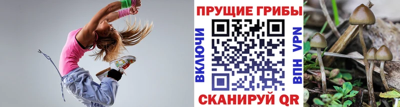 Галлюциногенные грибы GOLDEN TEACHER  Мосальск 
